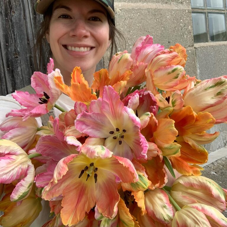 AiryPointFarms 3 768x768