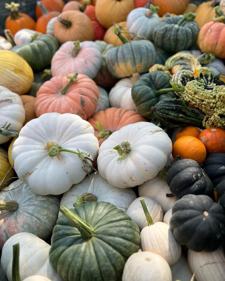 AiryPointFarms 4 768x960