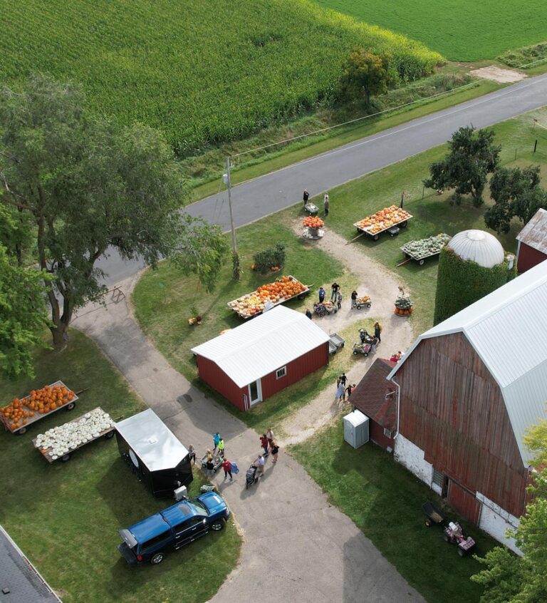 AiryPointFarms 5 768x846